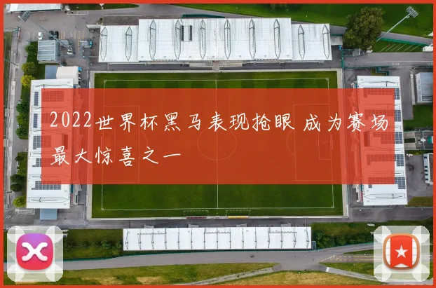 2022世界杯黑马表现抢眼 成为赛场最大惊喜之一