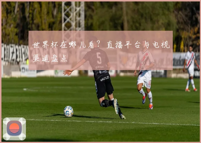 世界杯在哪儿看？直播平台与电视渠道盘点